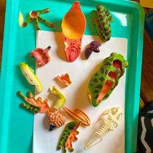 jewelry making frog parts Anatomy pieces incomplete use for crafting art etc